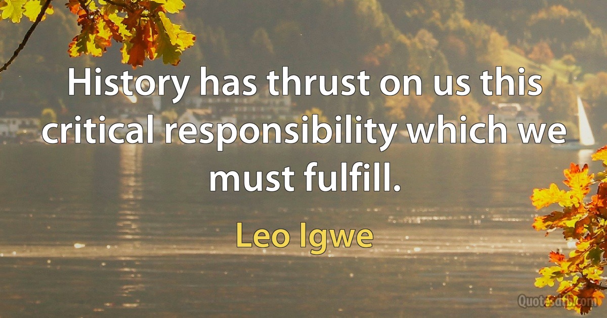 History has thrust on us this critical responsibility which we must fulfill. (Leo Igwe)