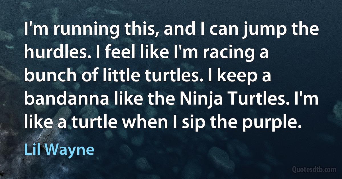 I'm running this, and I can jump the hurdles. I feel like I'm racing a bunch of little turtles. I keep a bandanna like the Ninja Turtles. I'm like a turtle when I sip the purple. (Lil Wayne)