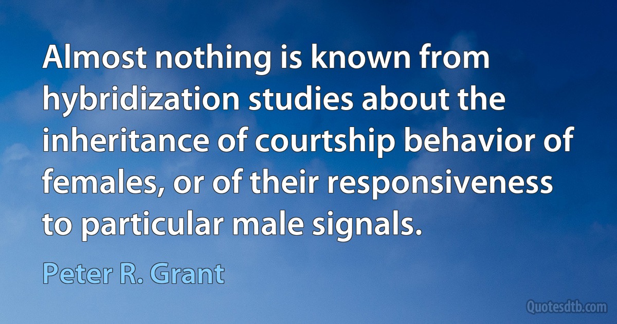 Almost nothing is known from hybridization studies about the inheritance of courtship behavior of females, or of their responsiveness to particular male signals. (Peter R. Grant)