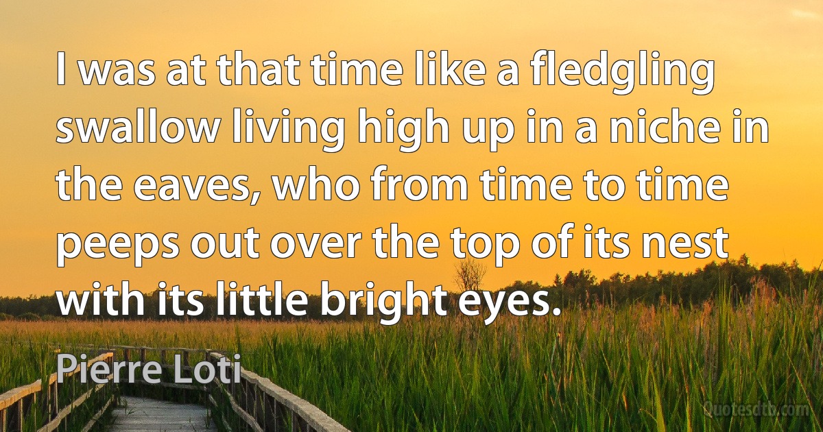 I was at that time like a fledgling swallow living high up in a niche in the eaves, who from time to time peeps out over the top of its nest with its little bright eyes. (Pierre Loti)