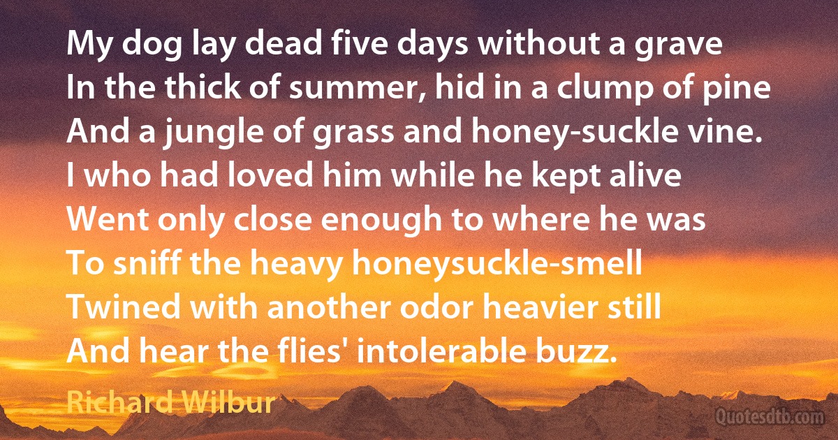 My dog lay dead five days without a grave
In the thick of summer, hid in a clump of pine
And a jungle of grass and honey-suckle vine.
I who had loved him while he kept alive
Went only close enough to where he was
To sniff the heavy honeysuckle-smell
Twined with another odor heavier still
And hear the flies' intolerable buzz. (Richard Wilbur)