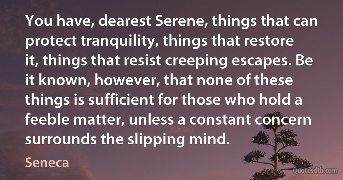 You have, dearest Serene, things that can protect tranquility, things that restore it, things that resist creeping escapes. Be it known, however, that none of these things is sufficient for those who hold a feeble matter, unless a constant concern surrounds the slipping mind. (Seneca)