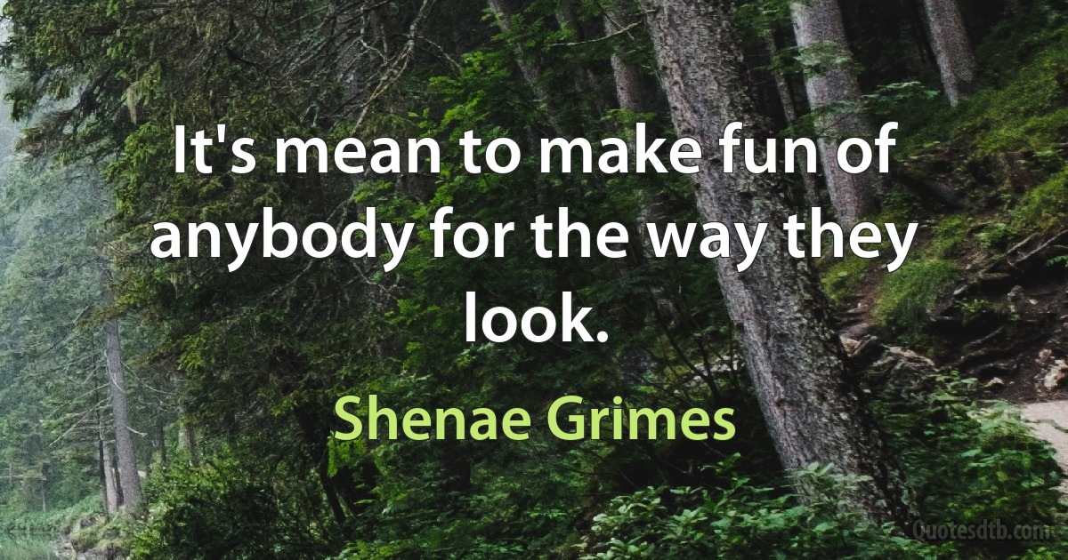 It's mean to make fun of anybody for the way they look. (Shenae Grimes)