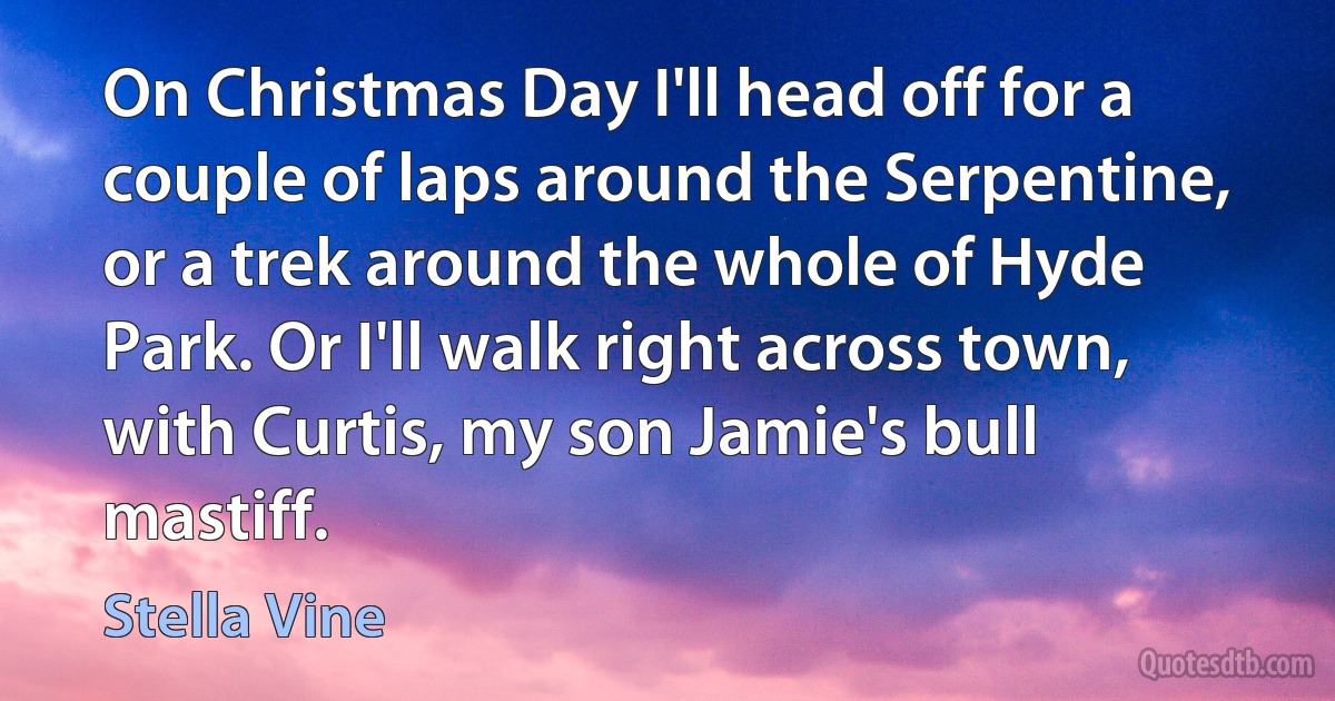 On Christmas Day I'll head off for a couple of laps around the Serpentine, or a trek around the whole of Hyde Park. Or I'll walk right across town, with Curtis, my son Jamie's bull mastiff. (Stella Vine)