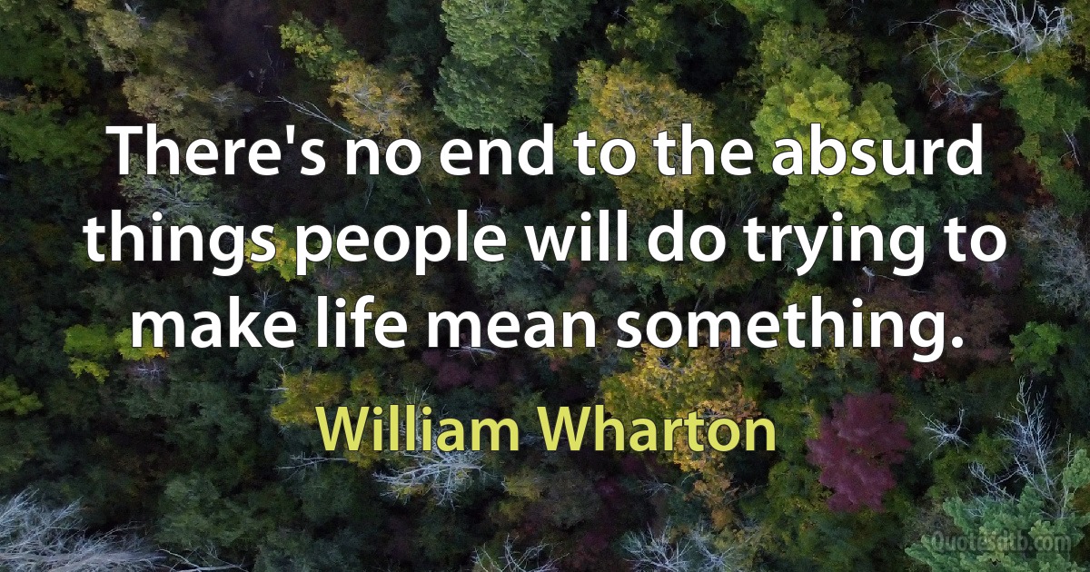 There's no end to the absurd things people will do trying to make life mean something. (William Wharton)