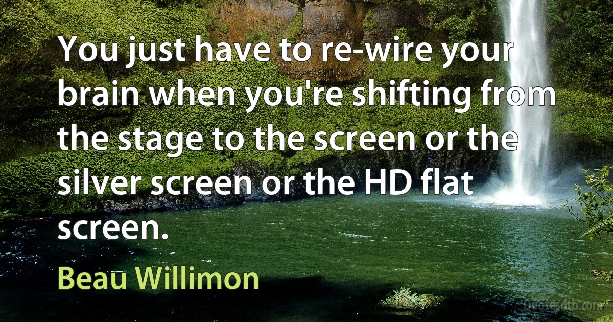 You just have to re-wire your brain when you're shifting from the stage to the screen or the silver screen or the HD flat screen. (Beau Willimon)