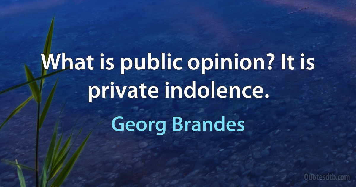 What is public opinion? It is private indolence. (Georg Brandes)