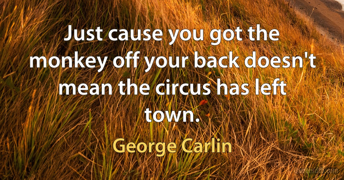 Just cause you got the monkey off your back doesn't mean the circus has left town. (George Carlin)