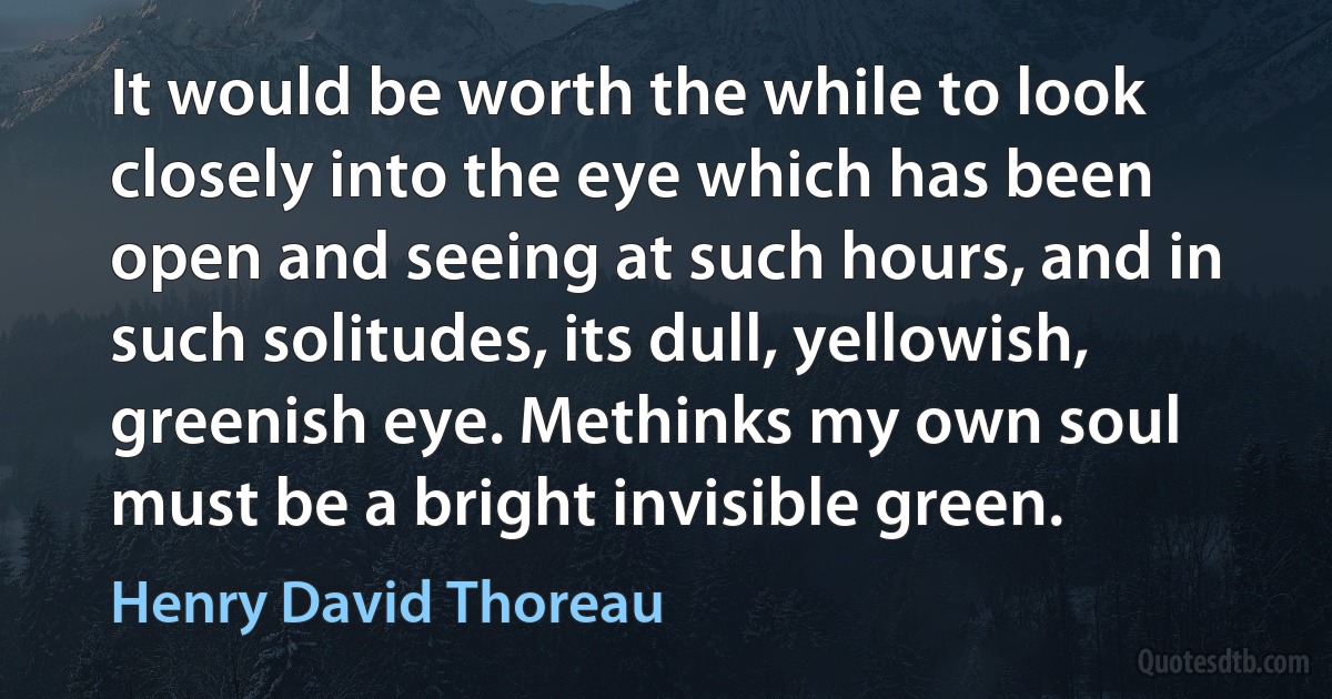 It would be worth the while to look closely into the eye which has been open and seeing at such hours, and in such solitudes, its dull, yellowish, greenish eye. Methinks my own soul must be a bright invisible green. (Henry David Thoreau)