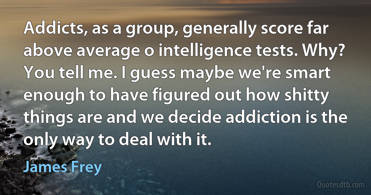 Addicts, as a group, generally score far above average o intelligence tests. Why? You tell me. I guess maybe we're smart enough to have figured out how shitty things are and we decide addiction is the only way to deal with it. (James Frey)