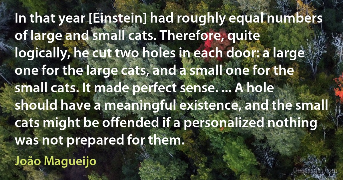 In that year [Einstein] had roughly equal numbers of large and small cats. Therefore, quite logically, he cut two holes in each door: a large one for the large cats, and a small one for the small cats. It made perfect sense. ... A hole should have a meaningful existence, and the small cats might be offended if a personalized nothing was not prepared for them. (João Magueijo)