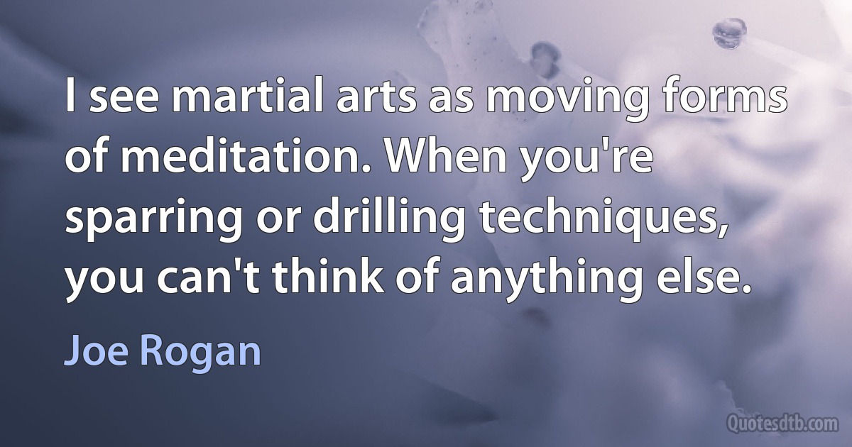 I see martial arts as moving forms of meditation. When you're sparring or drilling techniques, you can't think of anything else. (Joe Rogan)