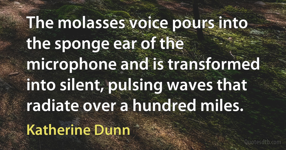 The molasses voice pours into the sponge ear of the microphone and is transformed into silent, pulsing waves that radiate over a hundred miles. (Katherine Dunn)