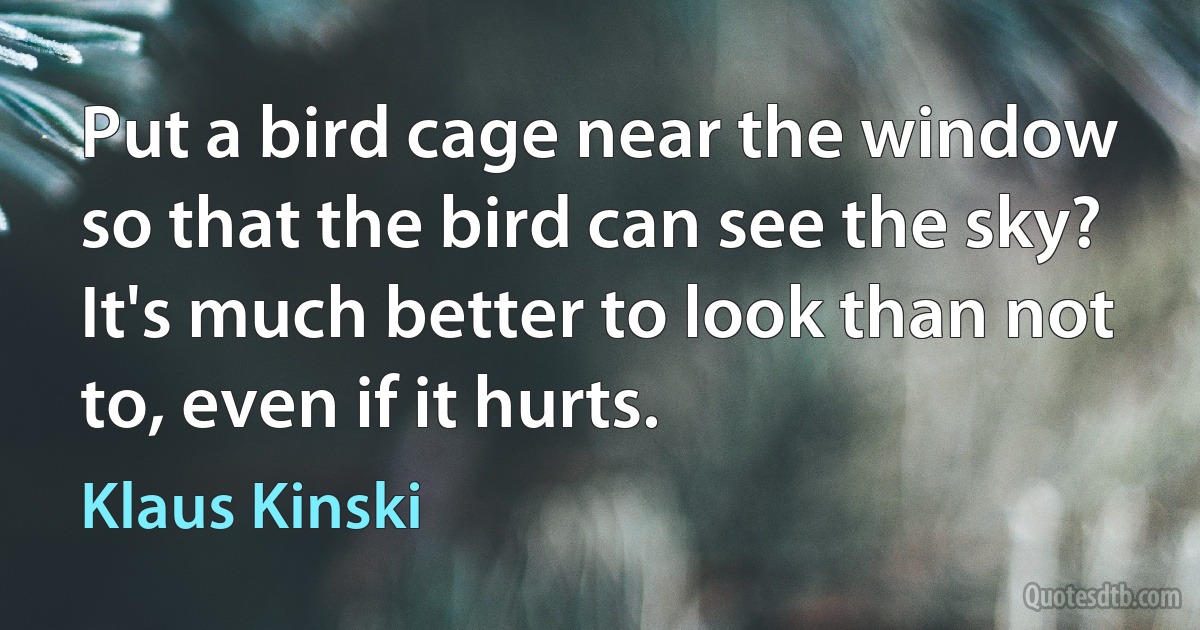 Put a bird cage near the window so that the bird can see the sky? It's much better to look than not to, even if it hurts. (Klaus Kinski)