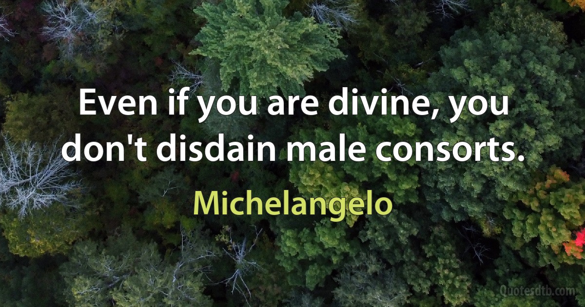 Even if you are divine, you don't disdain male consorts. (Michelangelo)