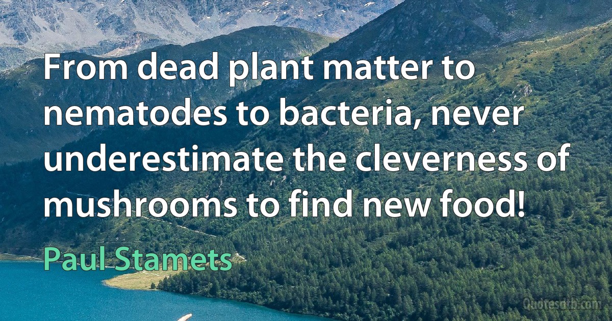 From dead plant matter to nematodes to bacteria, never underestimate the cleverness of mushrooms to find new food! (Paul Stamets)