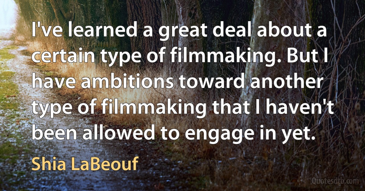 I've learned a great deal about a certain type of filmmaking. But I have ambitions toward another type of filmmaking that I haven't been allowed to engage in yet. (Shia LaBeouf)