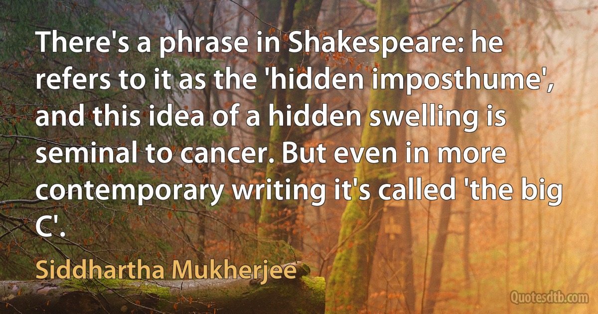 There's a phrase in Shakespeare: he refers to it as the 'hidden imposthume', and this idea of a hidden swelling is seminal to cancer. But even in more contemporary writing it's called 'the big C'. (Siddhartha Mukherjee)