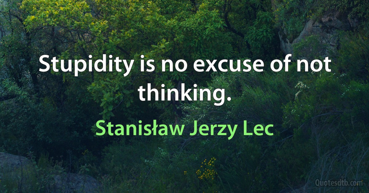 Stupidity is no excuse of not thinking. (Stanisław Jerzy Lec)