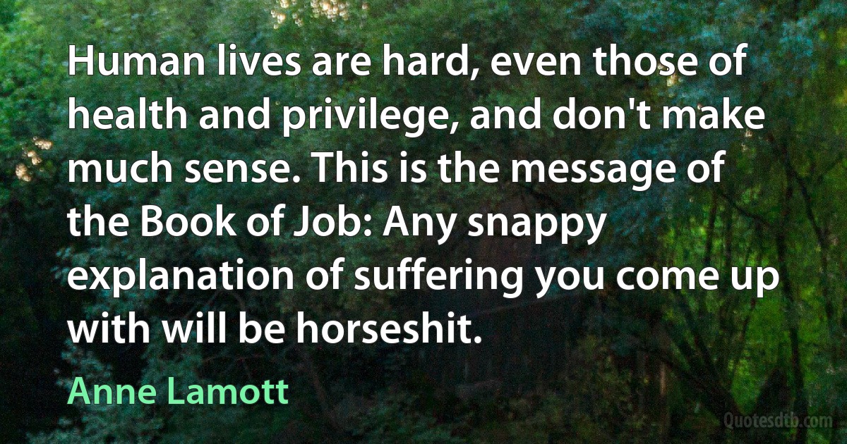 Human lives are hard, even those of health and privilege, and don't make much sense. This is the message of the Book of Job: Any snappy explanation of suffering you come up with will be horseshit. (Anne Lamott)