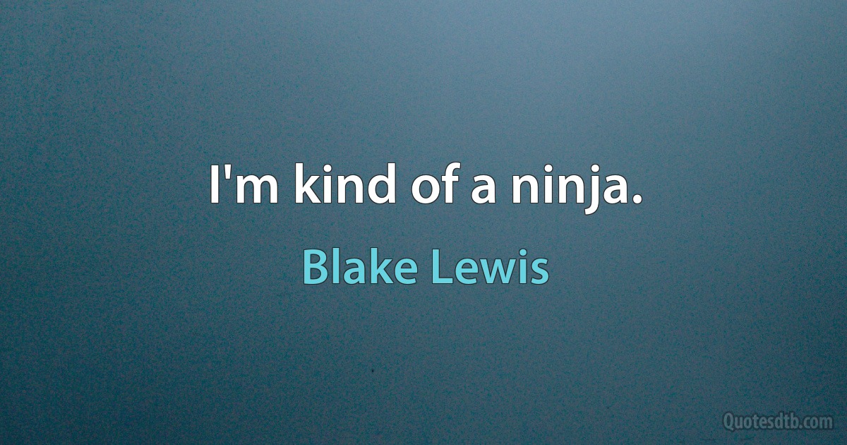 I'm kind of a ninja. (Blake Lewis)