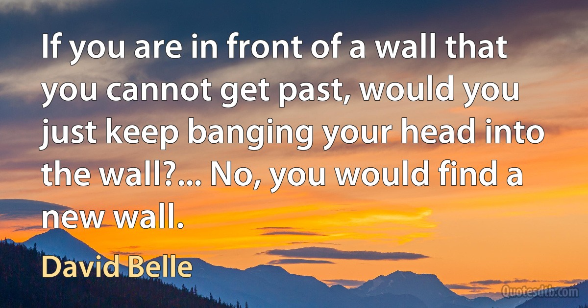 If you are in front of a wall that you cannot get past, would you just keep banging your head into the wall?... No, you would find a new wall. (David Belle)