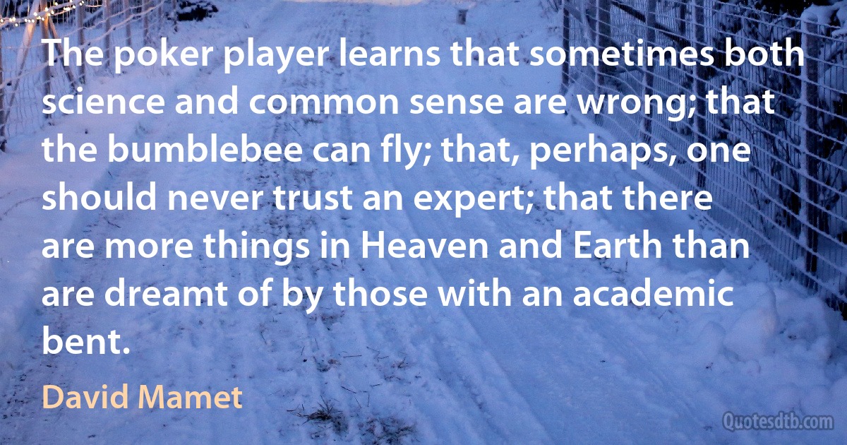 The poker player learns that sometimes both science and common sense are wrong; that the bumblebee can fly; that, perhaps, one should never trust an expert; that there are more things in Heaven and Earth than are dreamt of by those with an academic bent. (David Mamet)