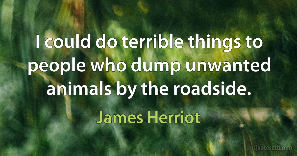 I could do terrible things to people who dump unwanted animals by the roadside. (James Herriot)