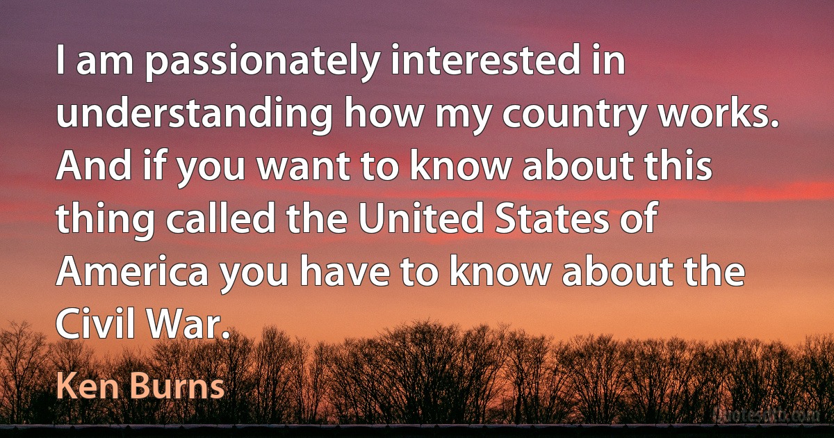 I am passionately interested in understanding how my country works. And if you want to know about this thing called the United States of America you have to know about the Civil War. (Ken Burns)