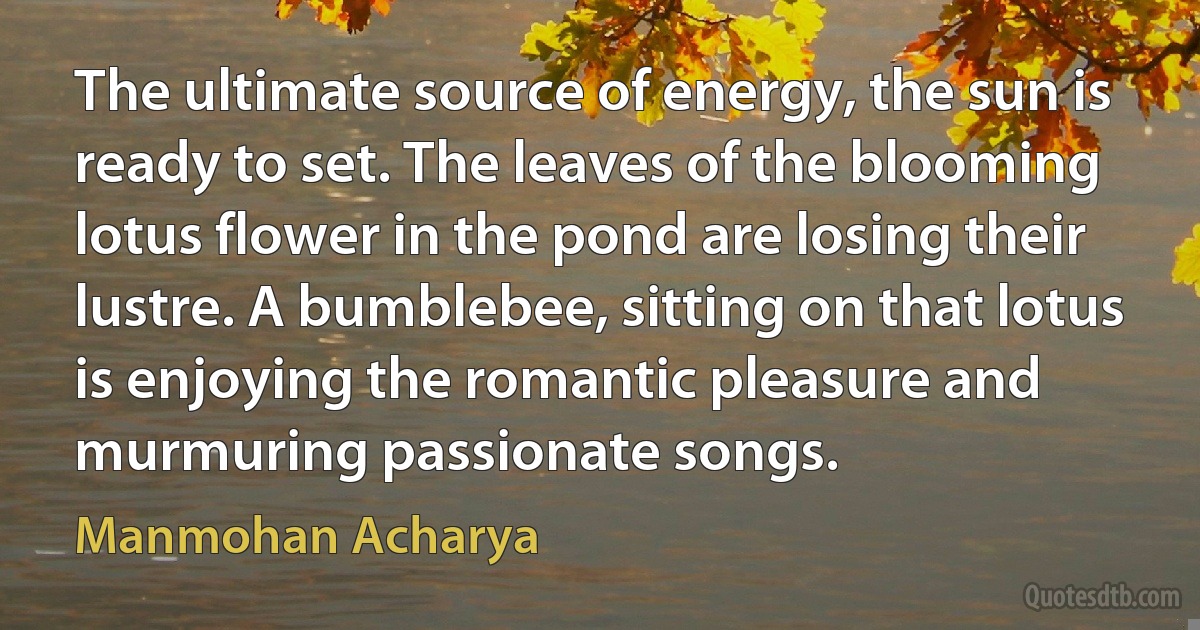 The ultimate source of energy, the sun is ready to set. The leaves of the blooming lotus flower in the pond are losing their lustre. A bumblebee, sitting on that lotus is enjoying the romantic pleasure and murmuring passionate songs. (Manmohan Acharya)