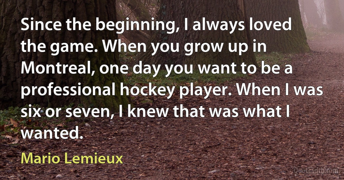 Since the beginning, I always loved the game. When you grow up in Montreal, one day you want to be a professional hockey player. When I was six or seven, I knew that was what I wanted. (Mario Lemieux)