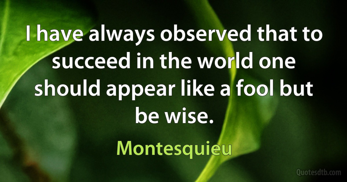 I have always observed that to succeed in the world one should appear like a fool but be wise. (Montesquieu)