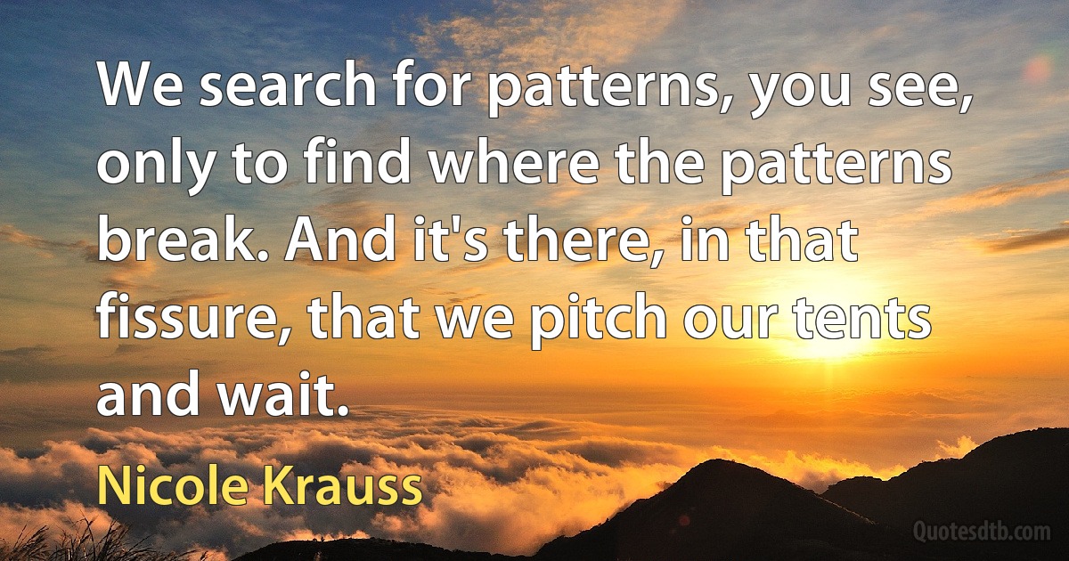 We search for patterns, you see, only to find where the patterns break. And it's there, in that fissure, that we pitch our tents and wait. (Nicole Krauss)