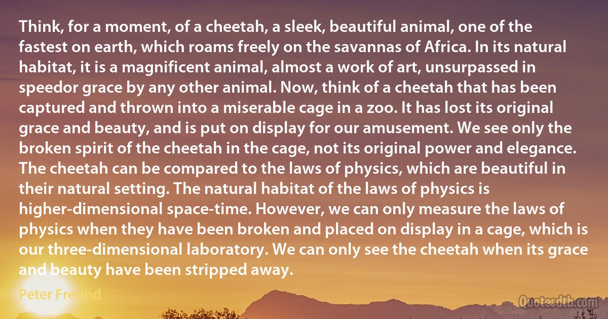 Think, for a moment, of a cheetah, a sleek, beautiful animal, one of the fastest on earth, which roams freely on the savannas of Africa. In its natural habitat, it is a magnificent animal, almost a work of art, unsurpassed in speedor grace by any other animal. Now, think of a cheetah that has been captured and thrown into a miserable cage in a zoo. It has lost its original grace and beauty, and is put on display for our amusement. We see only the broken spirit of the cheetah in the cage, not its original power and elegance. The cheetah can be compared to the laws of physics, which are beautiful in their natural setting. The natural habitat of the laws of physics is higher-dimensional space-time. However, we can only measure the laws of physics when they have been broken and placed on display in a cage, which is our three-dimensional laboratory. We can only see the cheetah when its grace and beauty have been stripped away. (Peter Freund)