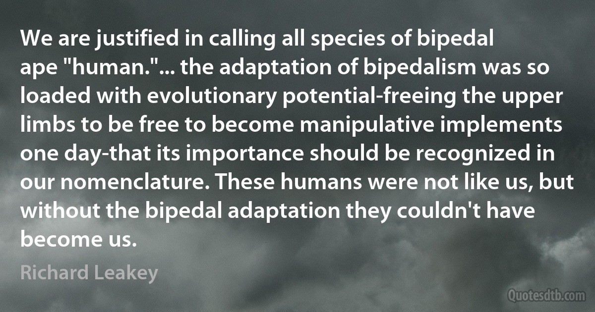 We are justified in calling all species of bipedal ape "human."... the adaptation of bipedalism was so loaded with evolutionary potential-freeing the upper limbs to be free to become manipulative implements one day-that its importance should be recognized in our nomenclature. These humans were not like us, but without the bipedal adaptation they couldn't have become us. (Richard Leakey)