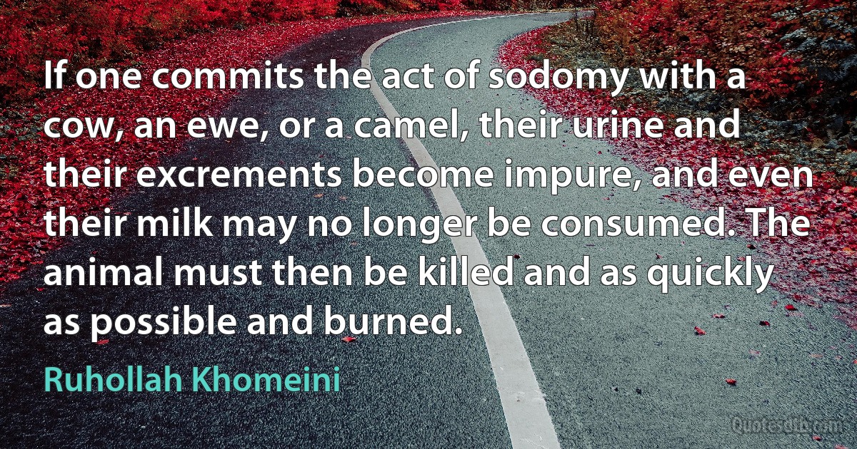 If one commits the act of sodomy with a cow, an ewe, or a camel, their urine and their excrements become impure, and even their milk may no longer be consumed. The animal must then be killed and as quickly as possible and burned. (Ruhollah Khomeini)