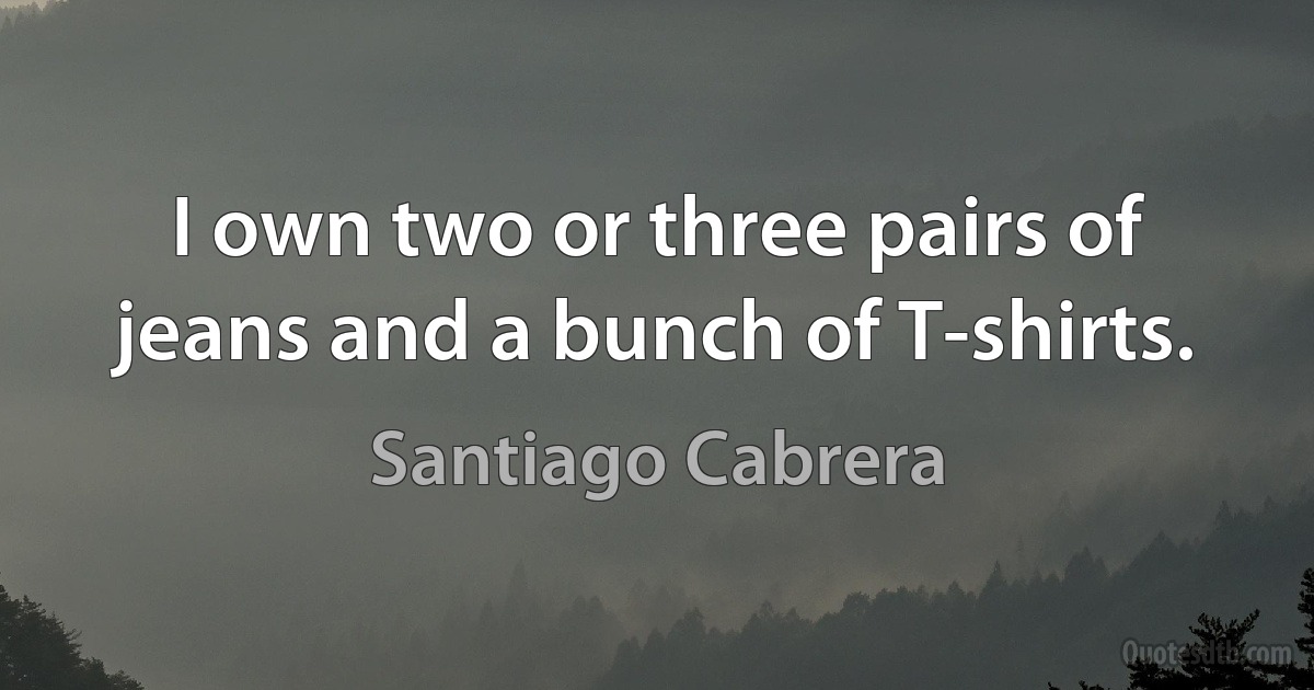 I own two or three pairs of jeans and a bunch of T-shirts. (Santiago Cabrera)