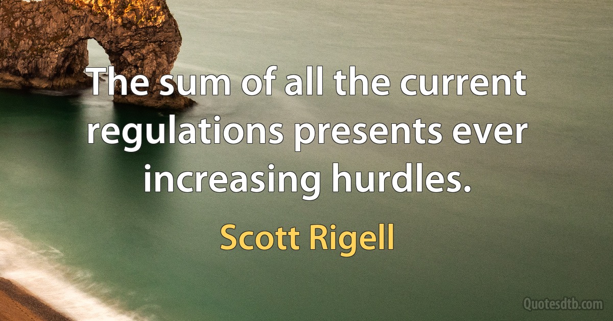 The sum of all the current regulations presents ever increasing hurdles. (Scott Rigell)