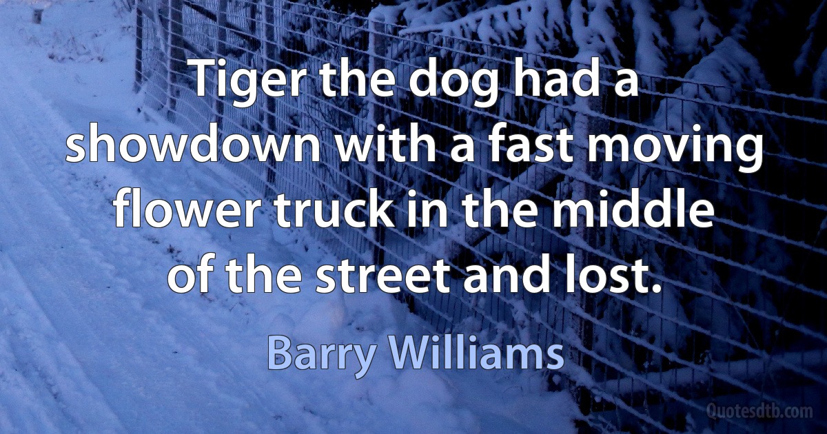 Tiger the dog had a showdown with a fast moving flower truck in the middle of the street and lost. (Barry Williams)