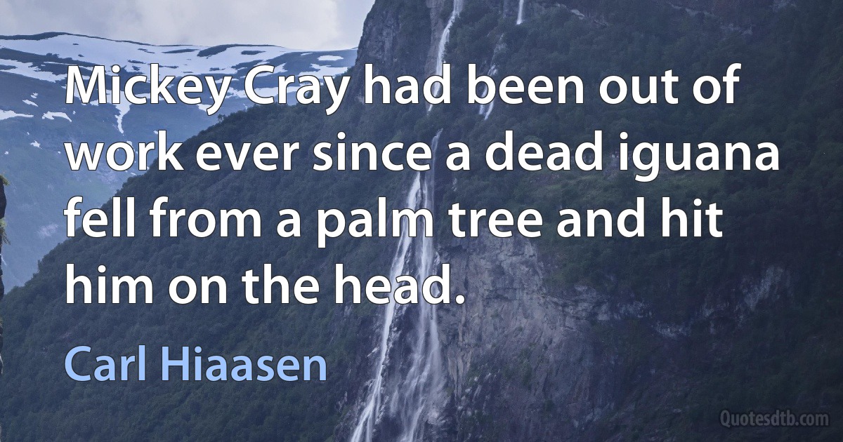 Mickey Cray had been out of work ever since a dead iguana fell from a palm tree and hit him on the head. (Carl Hiaasen)