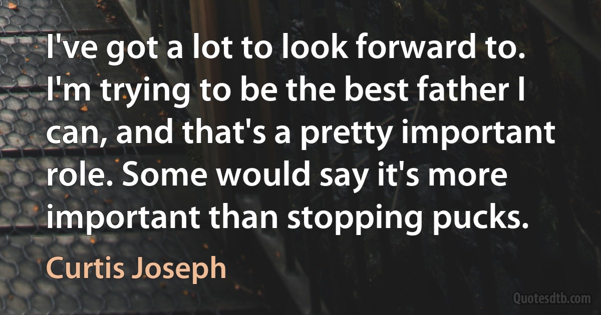 I've got a lot to look forward to. I'm trying to be the best father I can, and that's a pretty important role. Some would say it's more important than stopping pucks. (Curtis Joseph)