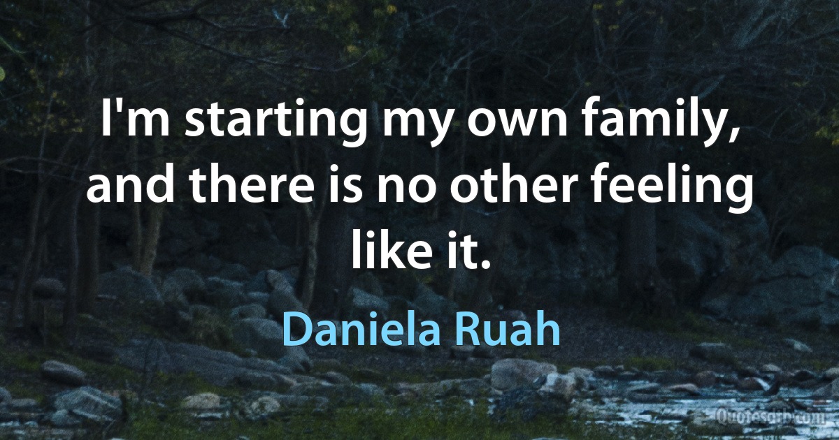 I'm starting my own family, and there is no other feeling like it. (Daniela Ruah)