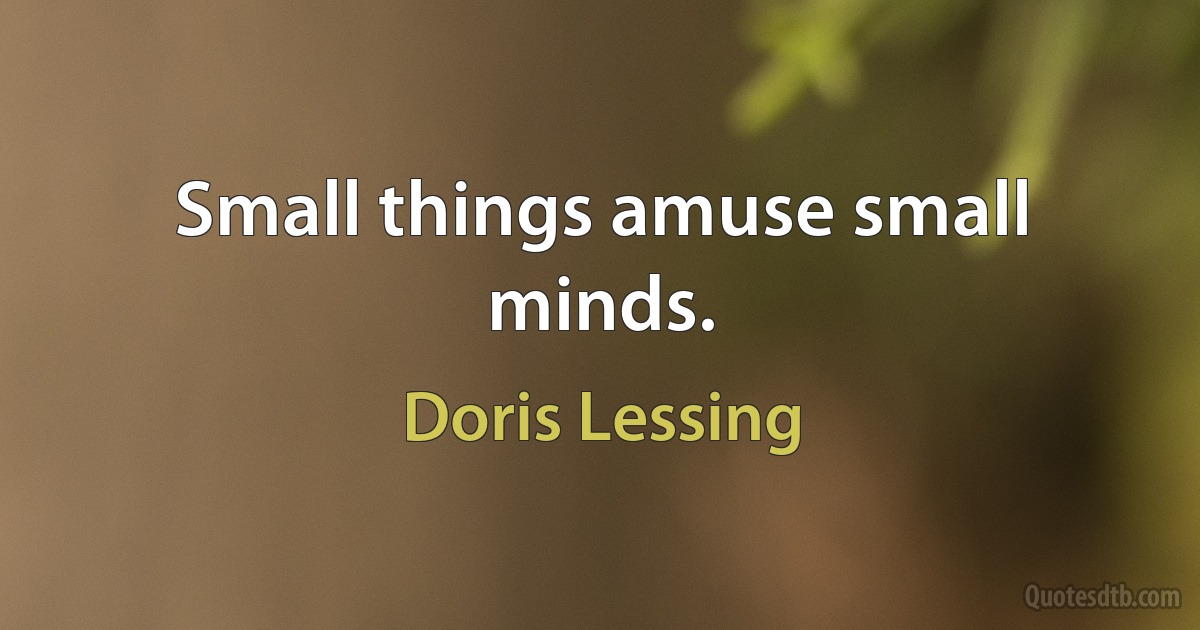 Small things amuse small minds. (Doris Lessing)