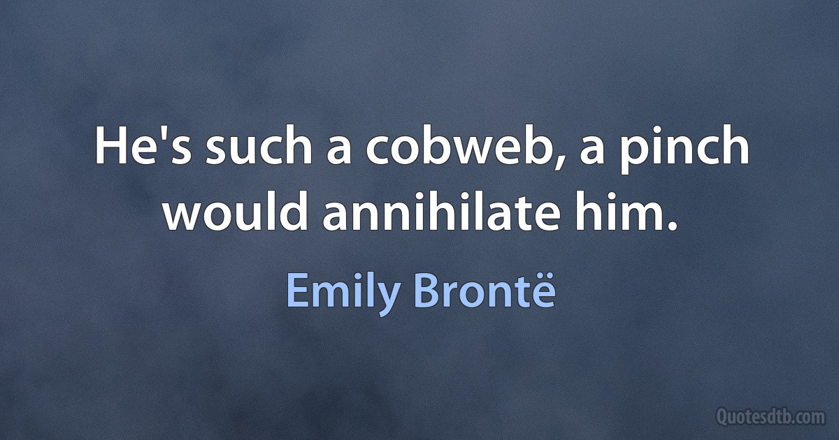 He's such a cobweb, a pinch would annihilate him. (Emily Brontë)