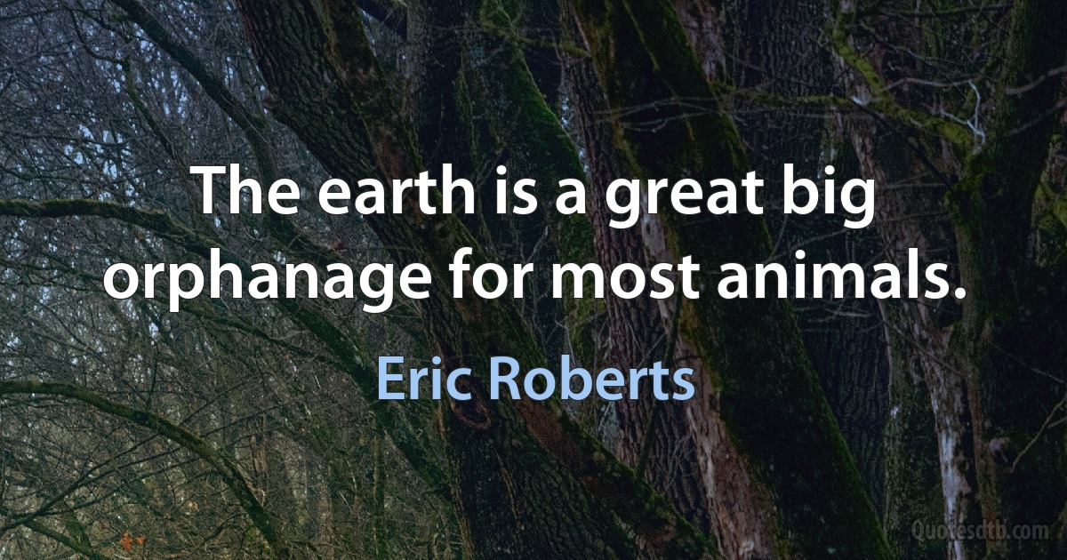 The earth is a great big orphanage for most animals. (Eric Roberts)