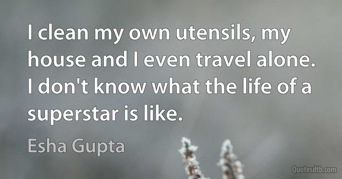 I clean my own utensils, my house and I even travel alone. I don't know what the life of a superstar is like. (Esha Gupta)