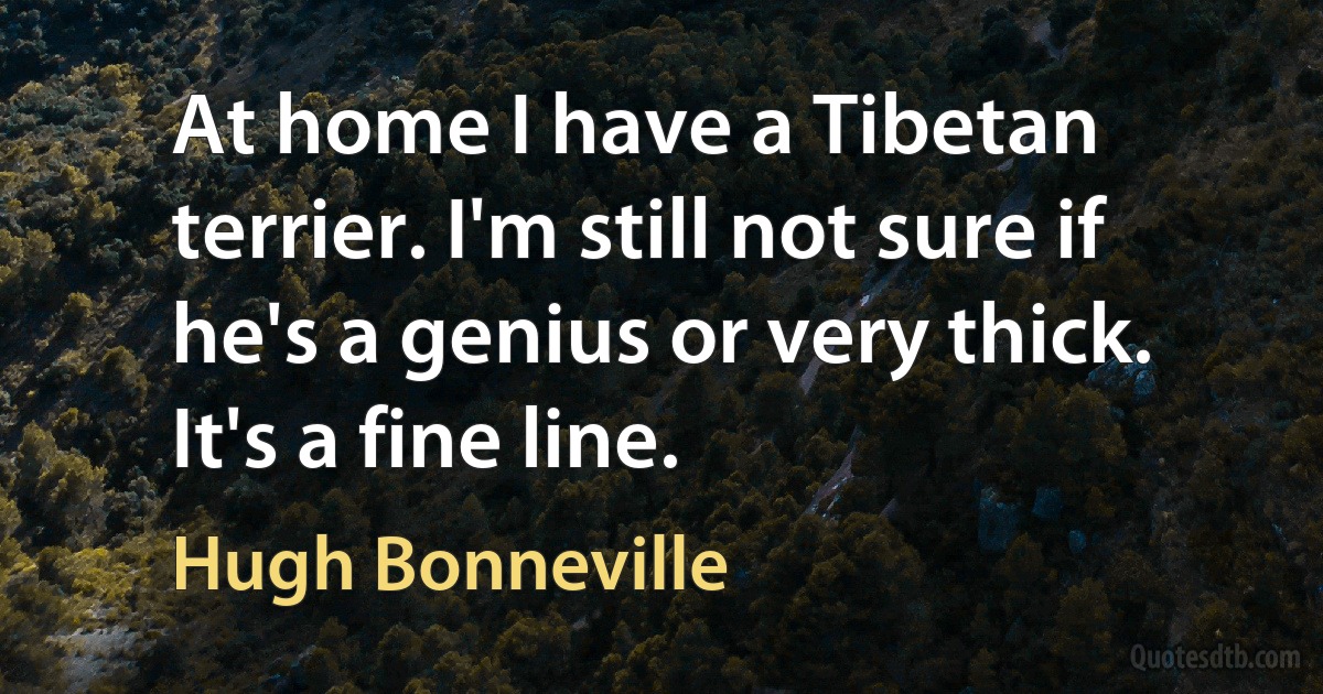 At home I have a Tibetan terrier. I'm still not sure if he's a genius or very thick. It's a fine line. (Hugh Bonneville)