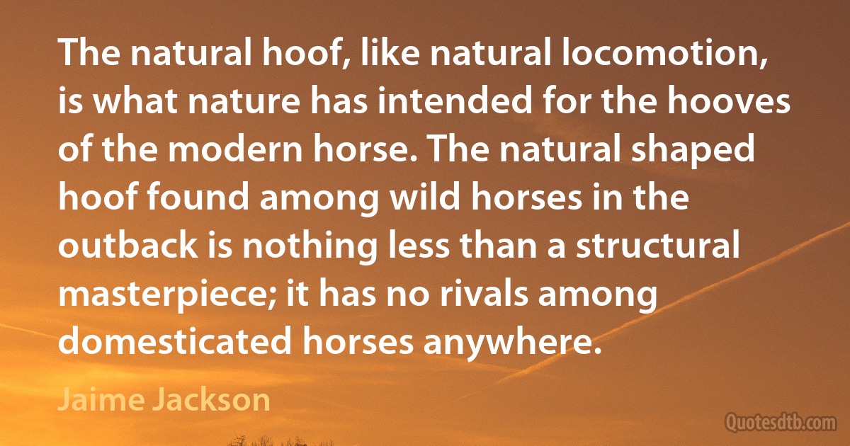 The natural hoof, like natural locomotion, is what nature has intended for the hooves of the modern horse. The natural shaped hoof found among wild horses in the outback is nothing less than a structural masterpiece; it has no rivals among domesticated horses anywhere. (Jaime Jackson)