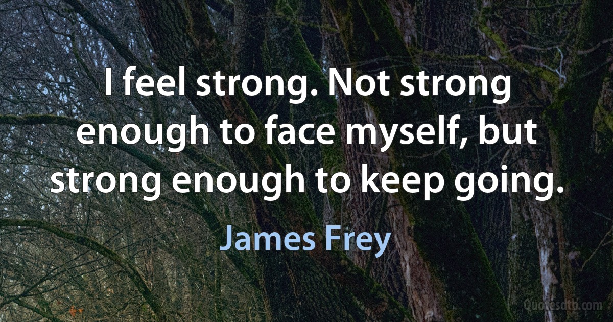 I feel strong. Not strong enough to face myself, but strong enough to keep going. (James Frey)