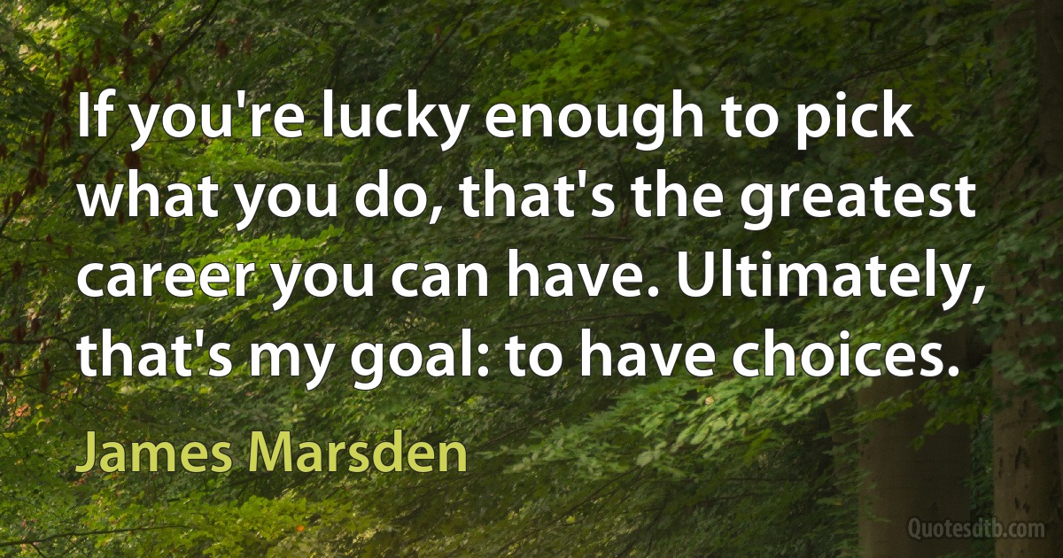 If you're lucky enough to pick what you do, that's the greatest career you can have. Ultimately, that's my goal: to have choices. (James Marsden)